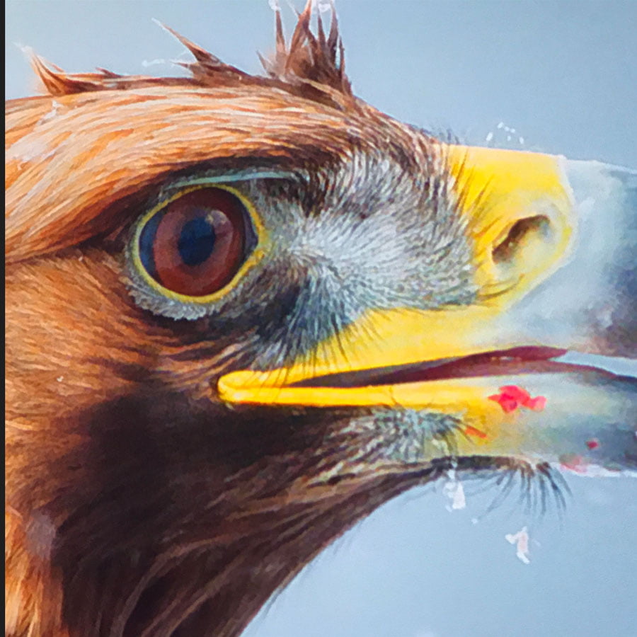 Close up image on ambient light rejecting paint screen wall