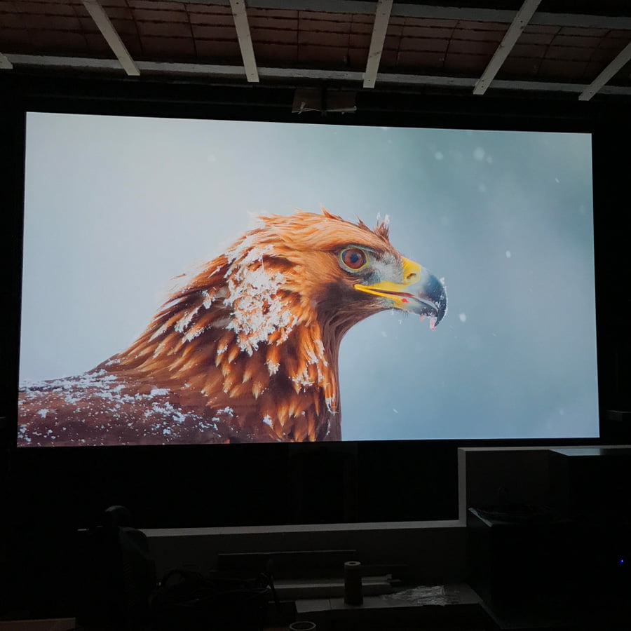 Higher image quality projected on ambient light rejecting paint